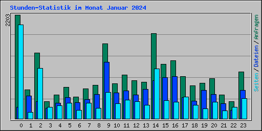 Stunden-Statistik im Monat Januar 2024