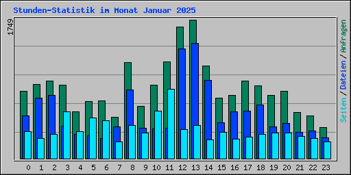 Stunden-Statistik im Monat Januar 2025